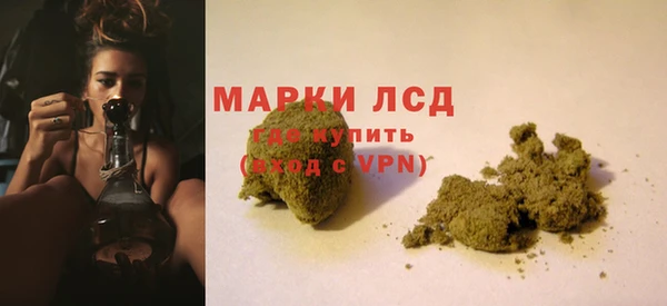гидра Белокуриха