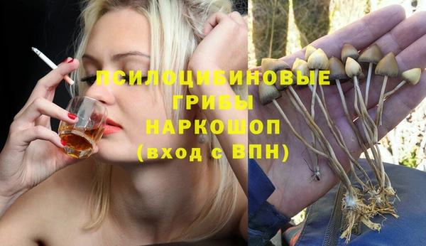 гидра Белокуриха