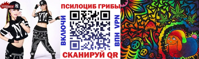 купить закладку  Юрьевец  Псилоцибиновые грибы Cubensis 